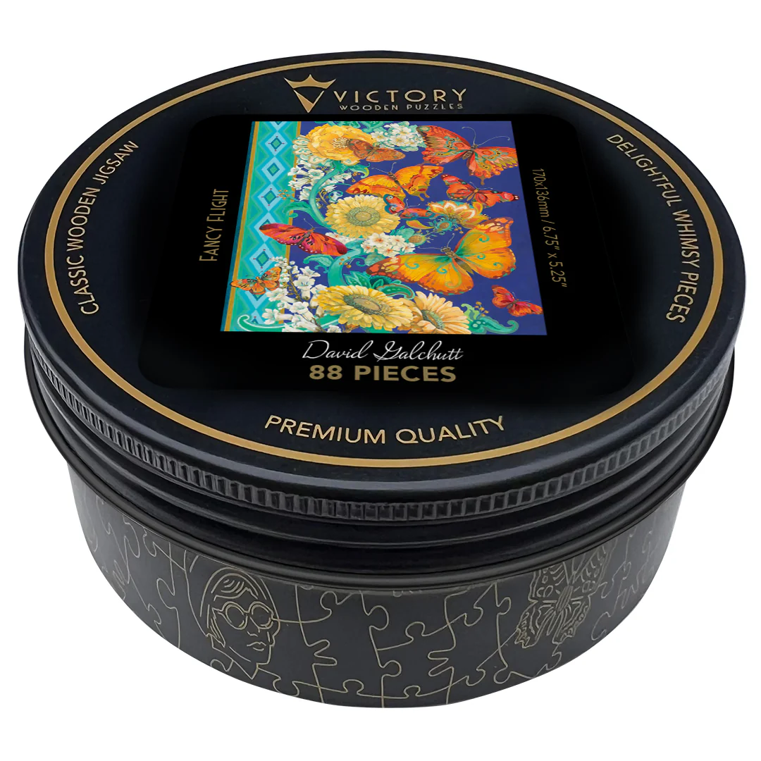 Fancy Flight MINI QT - Image 3