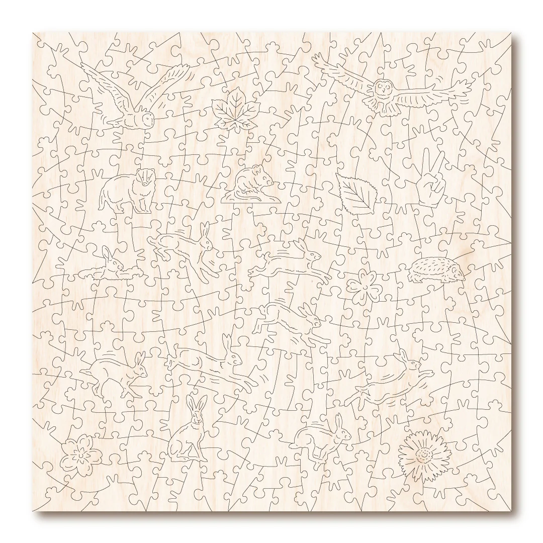 Midsummer Night's Dream - Image 3