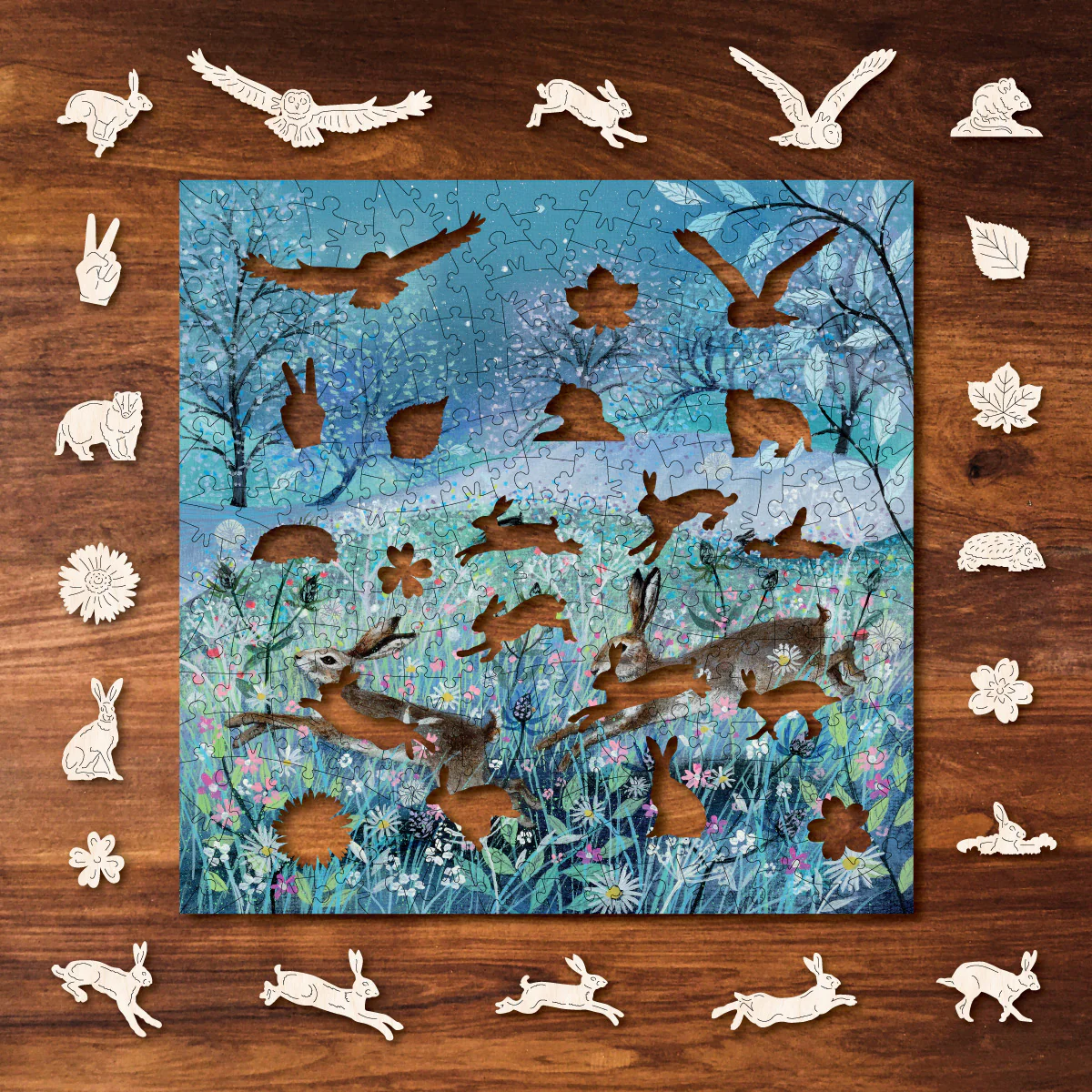 Midsummer Night's Dream - Image 4