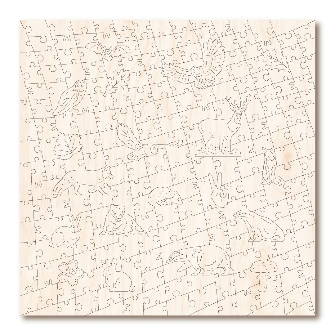 Summer Badgers - Image 3